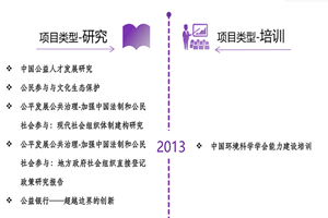 快点插逼逼的视频非评估类项目发展历程